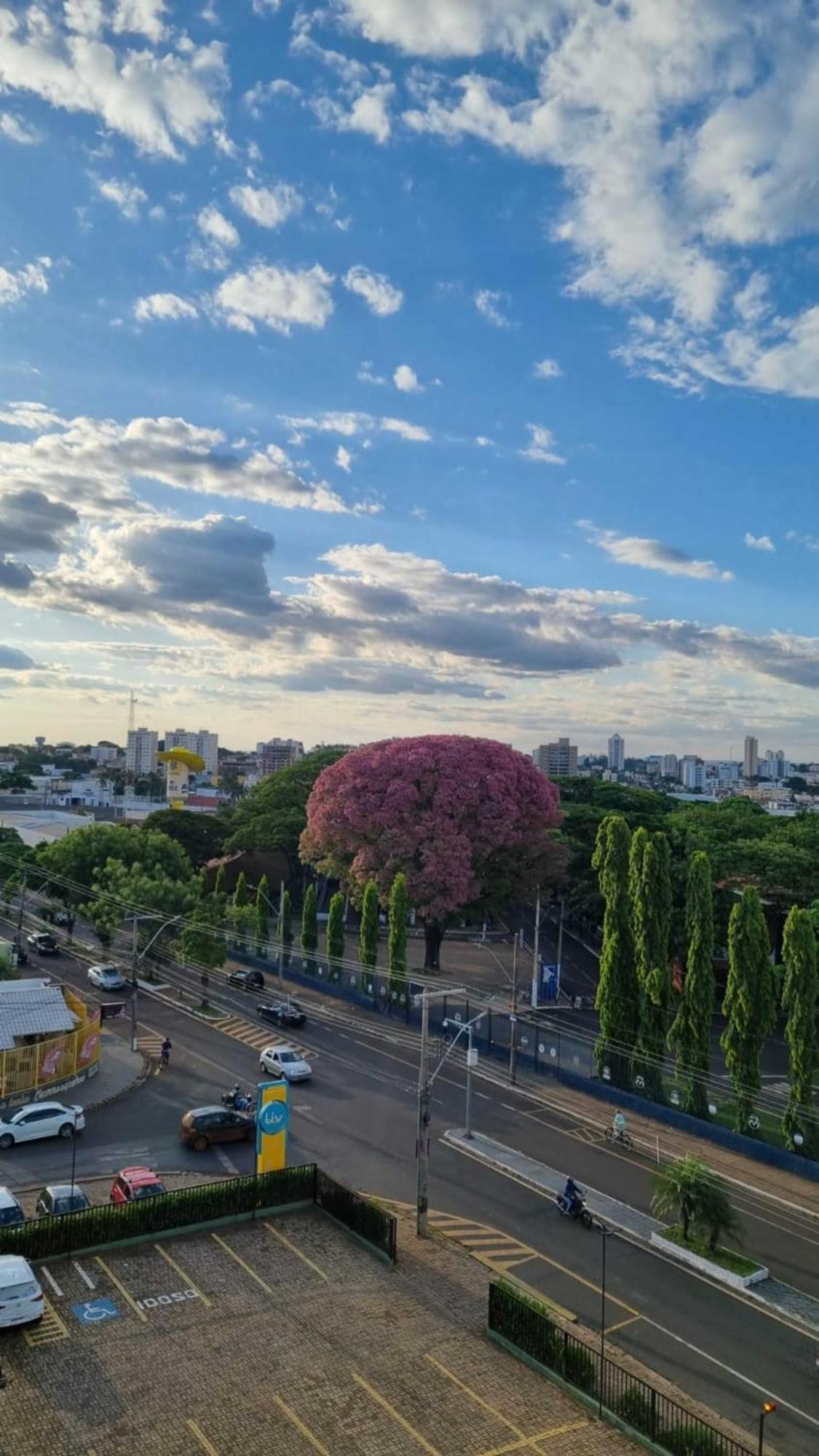 Hotel Golden Park Uberaba By Nacional Inn Quarto foto